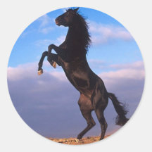 Black Stallion Round Sticker