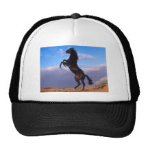 Black Stallion Trucker Hats