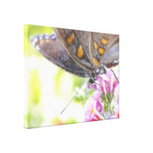 Black Swallowtail Butterfly on Buddleia Bush Canvas Print