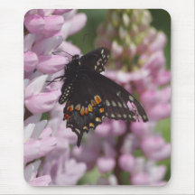 Black Swallowtail Mousepads