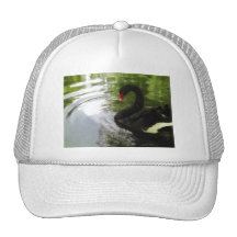 Black Swan 1 Pond Ripples Trucker Hat