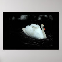 black swan lake posters