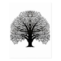 Black Swirl Tree Post Card
