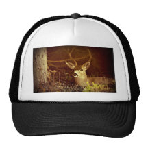 Black Tail Buck Mesh Hats