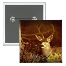Black Tail Buck Pin