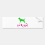 Black & Tan Coonhound Bumper Sticker