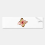 Black & Tan Coonhound Bumper Stickers