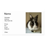 Black & White Bunny Rabbit Business Card