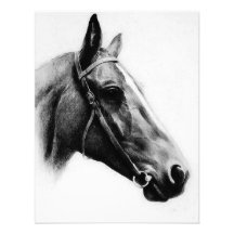 Black & White Horse Invitations