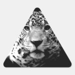 Black & White Jaguar Sticker