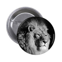 Black & White Lion Photo Pinback Button