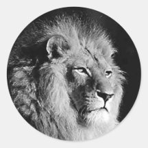 Black & White Lion Photo Sticker