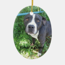 Black & White Pit Ornament