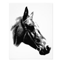 Black & White Pop Art Horse Custom Invite