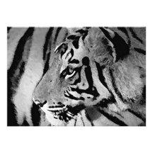 Black & White Tiger Invitation