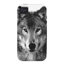 Black & White Wolf Eyes iPhone 4 Case