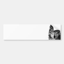 Black & White Wolf Portrait Bumper Stickers
