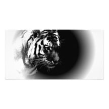 Black & Wild Tiger Head Photo Cards