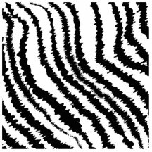 Black Zebra Print Pattern. Photo Cutouts