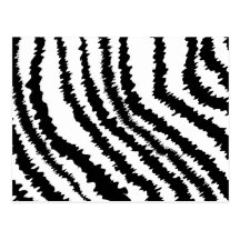Black Zebra Print Pattern. Post Card