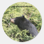 blackbear sticker
