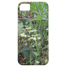 Blackberries and Wildflowers Iphone 5 Case