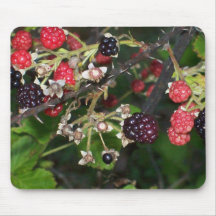 Blackberries at Dusk Mouse Pad