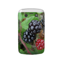 Blackberries Blackberry Bold case