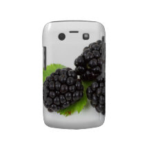 Blackberries Blackberry Bold Case