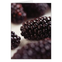 Blackberries Greeting Card