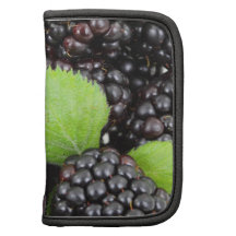 BlackBerry Background Organizers