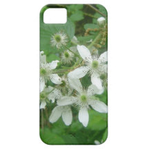 Blackberry Blossoms iPhone 5 Cases