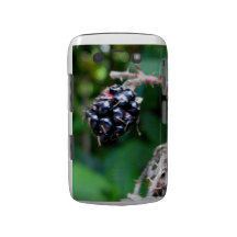 Blackberry for Blackberry Blackberry Bold Covers