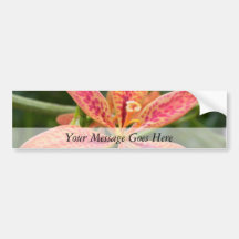 Blackberry Lily Bumper Stickers