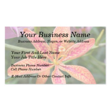 Blackberry Lily Business Card Templates