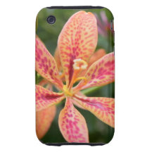 Blackberry Lily Tough iPhone 3 Cases