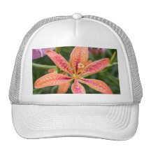Blackberry Lily Hat