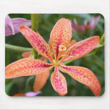 Blackberry Lily Mouse Pads