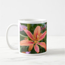 Blackberry Lily Mugs