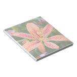 Blackberry Lily Memo Notepad