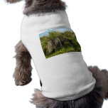 Blackboy tree growing in sideways doggie t shirt