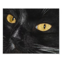 Blackest Black Photo Enlargement