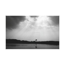 Blackwater National Wildlife Reserve Stretched Can Gallery Wrap Canvas