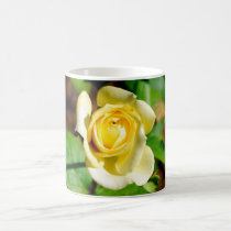 Blanche's mug mugs