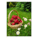Blank Happy Thanksgiving with Strawberries Card cards