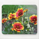 Blanket Flowers Photo Mousepad