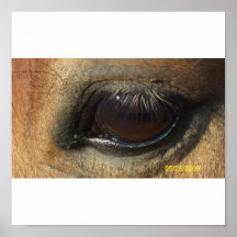 Blaze Eye1 Print