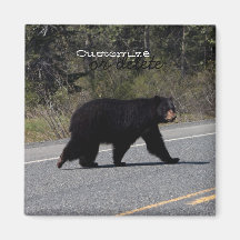 BLCR Bear Crossing Fridge Magnet