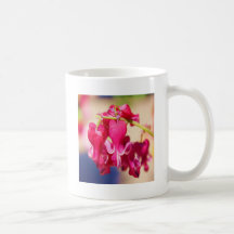 bleeding hearts jpeg coffee mugs