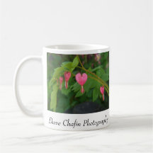 Bleeding Hearts Mugs